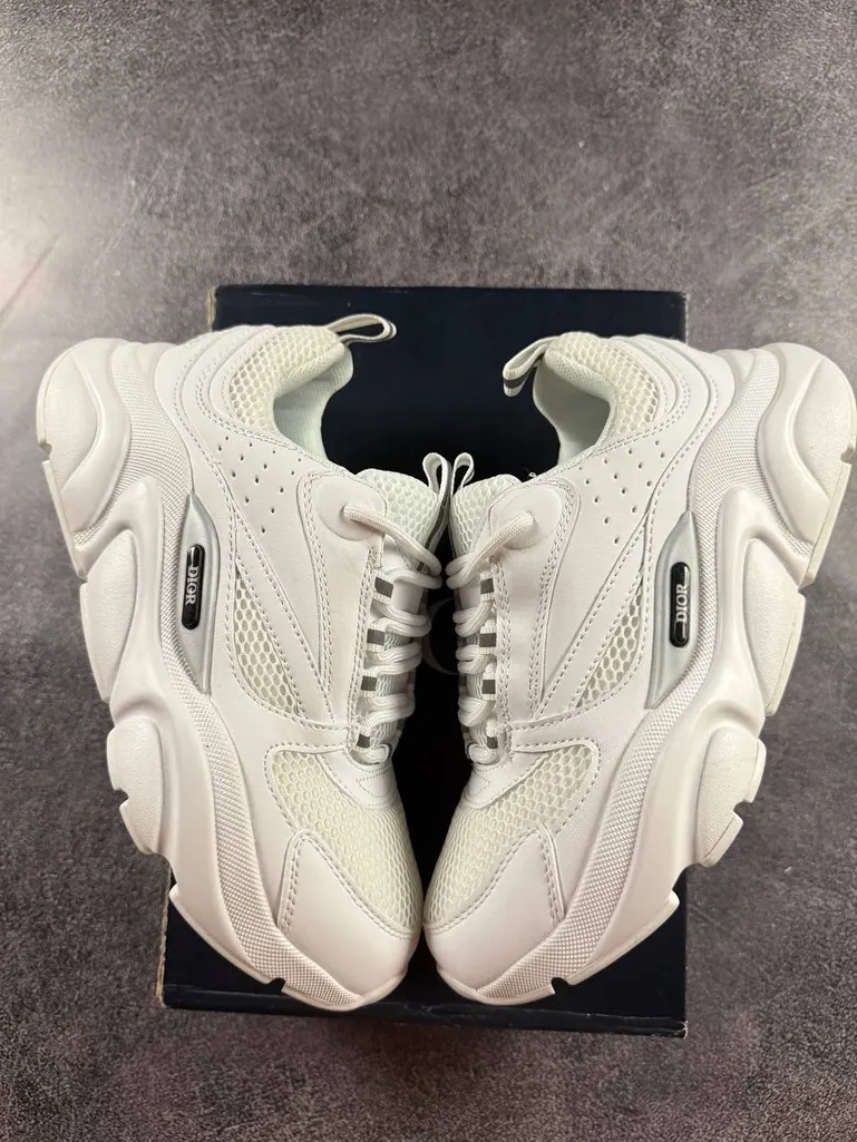 Dior B22 White