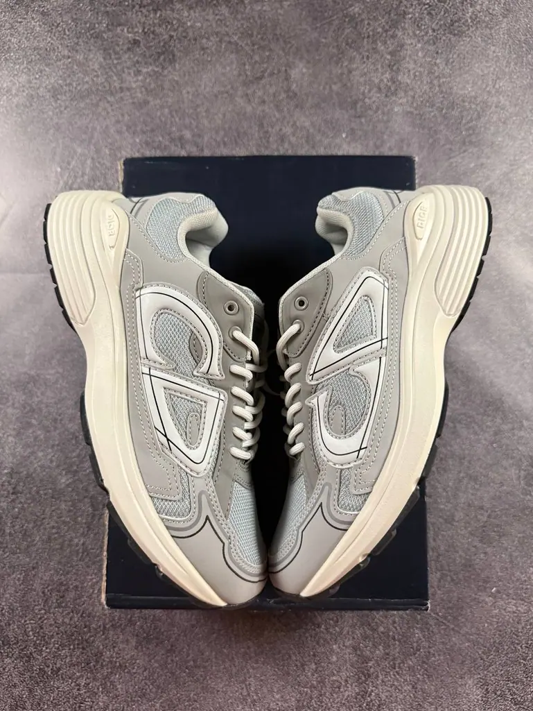 Dior B30 Grey White