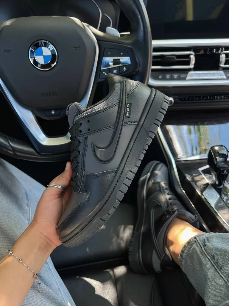 Nike SB Dunk Low Gore-Tex Premium