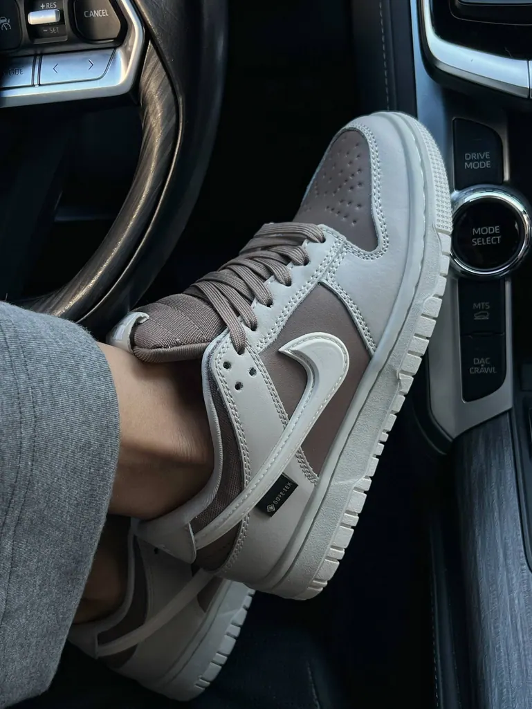 Nike SB Dunk Low Gore-Tex Premium