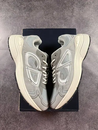 Dior B30 Grey White